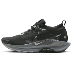 NIKE Pegasus Trail 5 GORE-TEX Trailrunning-Schuhe Damen 001 - black/wolf grey-cool grey-anthracite 36