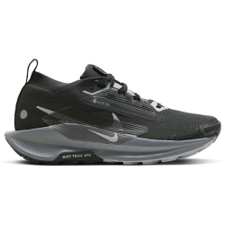 NIKE Pegasus Trail 5 GORE-TEX Trailrunning-Schuhe Damen 001 - black/wolf grey-cool grey-anthracite 36