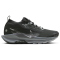 NIKE Pegasus Trail 5 GORE-TEX Trailrunning-Schuhe Damen 001 - black/wolf grey-cool grey-anthracite 36