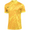 NIKE Gardien V Dri-FIT Torwarttrikot Herren 719 - tour yellow/university gold/black M