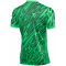 NIKE Gardien V Dri-FIT Torwarttrikot Herren 329 - green spark/pine green/white M