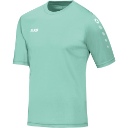 JAKO Team Trikot kurzarm 251 - minze S