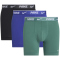 3er Pack NIKE Boxershorts Briefs Herren F6G - evrgrn a/dp nigh/anthrcit shttrd wb S