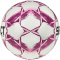 Select Planet DB Handball Bundesliga Frauen Spielball 2025/26 grau/lila 2