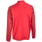 DERBYSTAR Madrid 1/4-Zip Sweatshirt