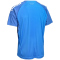 Select Spain Trikot