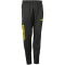 DERBYSTAR Primo Trainingshose Kinder schwarz/gelb 164