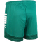 DERBYSTAR Madrid Trainingsshorts Damen grün/weiß XL