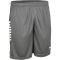 DERBYSTAR Madrid Trainingsshorts grau/weiß 3XL