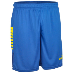 DERBYSTAR Madrid Trainingsshorts blau/gelb 3XL