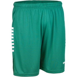 DERBYSTAR Madrid Trainingsshorts grün/weiß 3XL