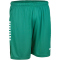 DERBYSTAR Madrid Trainingsshorts grün/weiß 3XL