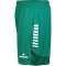 DERBYSTAR Madrid Trainingsshorts grün/weiß 3XL