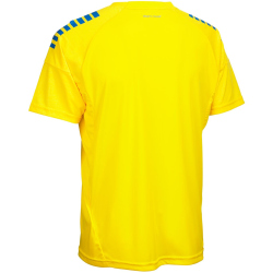 DERBYSTAR Madrid Trikot gelb/blau 3XL