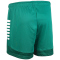 Select Spain Trainingsshorts Damen grün/weiß XL