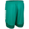 Select Spain Trainingsshorts grün/weiß 3XL