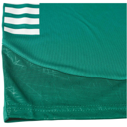 Select Spain Trainingsshorts Kinder grün/weiß 164