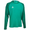 Select Spain langarm Trikot grün/weiß 164