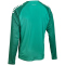 Select Spain langarm Trikot grün/weiß 164