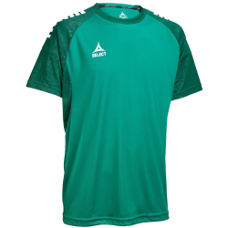 Select Spain Trikot Kinder grün/weiß 164