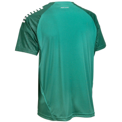 Select Spain Trikot Kinder grün/weiß 164