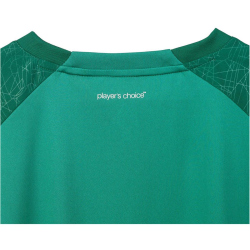Select Spain Trikot Kinder grün/weiß 164