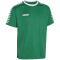 DERBYSTAR Hyper Trikot grün/weiß S