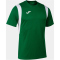 JOMA Dinamo Trikot
