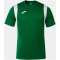 JOMA Dinamo Trikot