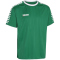 DERBYSTAR Hyper Trikot Kinder grün/weiß 116