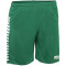 DERBYSTAR Hyper Shorts Herren grün/weiß XXL