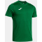 JOMA Olimpiada Handballtrikot Kinder 450 - grün 152