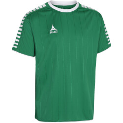 Select Argentina Trikot Grün/Weiß XL
