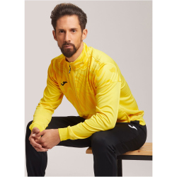 JOMA Lion II Trainingsanzug 901 - gelb/schwarz M