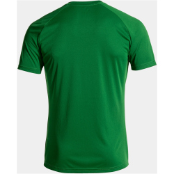 JOMA Inter IV Trikot Kinder 452 - grün/weiß 104