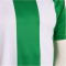 JOMA Inter IV Trikot Kinder 452 - grün/weiß 104