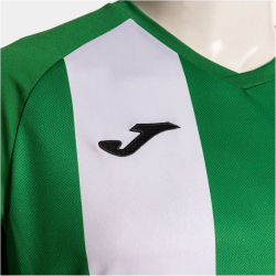 JOMA Inter IV Trikot 452 - grün/weiß S
