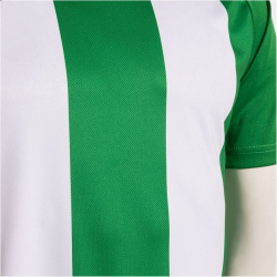 JOMA Inter IV Trikot 452 - grün/weiß S