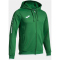 JOMA Olimpiada Kapuzen-Trainingsjacke Kinder 450 - grün 104