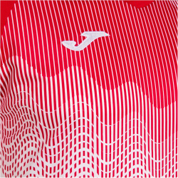 JOMA Tiger VI Trikot Kinder 206 - weiß/rot 116