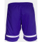 JOMA Tokio Shorts 552 - lila/weiß S