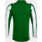 JOMA Inter Classic langarm Trikot Kinder 452 - grün/weiß 104