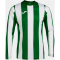JOMA Inter Classic langarm Trikot Kinder 452 - grün/weiß 104