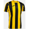 JOMA Inter Classic Trikot Kinder 901 - gelb/schwarz 104