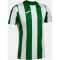 JOMA Inter Classic Trikot Kinder 452 - grün/weiß 104