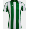 JOMA Inter Classic Trikot Kinder 452 - grün/weiß 104