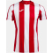 JOMA Inter Classic Trikot 602 - rot/weiß S