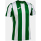 JOMA Inter Classic Trikot 452 - grün/weiß S