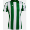 JOMA Inter Classic Trikot 452 - grün/weiß S
