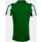 JOMA Inter Classic Trikot 452 - grün/weiß S